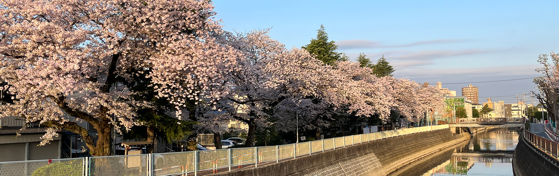 市川こども支援研究会